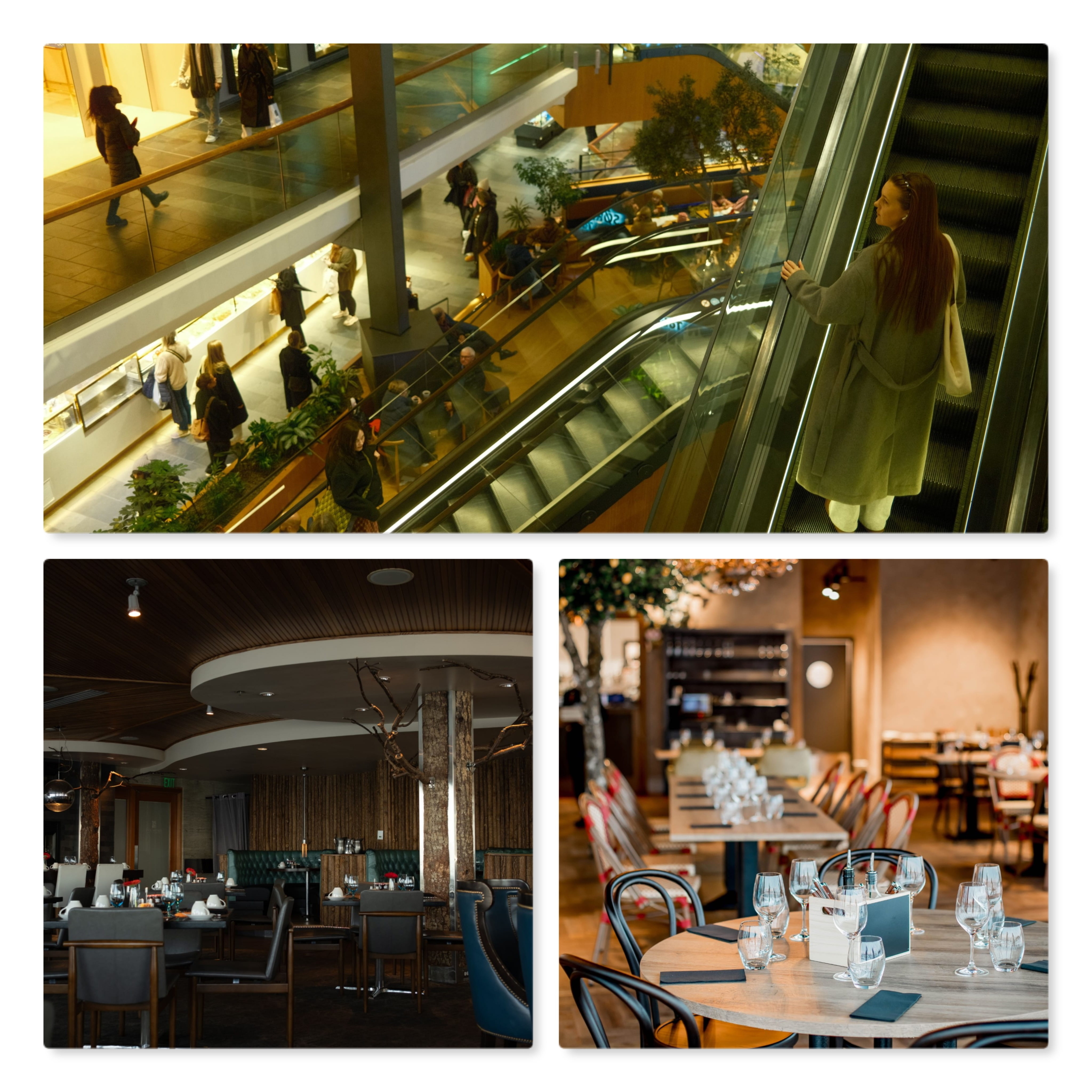 Restaurang med cirka 14 Mkr i omsättning i ett köpcenter västra sverige (ID: 1718)
